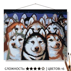 «СИБИРСКИЕ ХАСКИ»