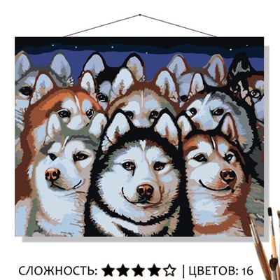 «СИБИРСКИЕ ХАСКИ»