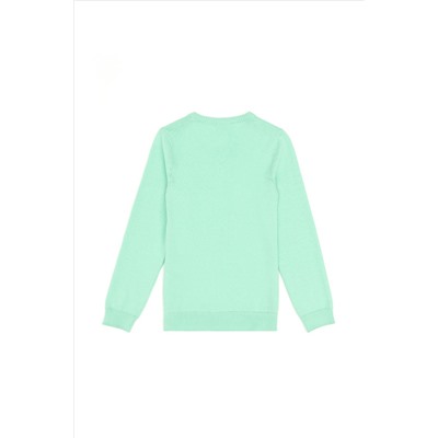 Erkek Çocuk Mint Basic Bisiklet Yaka Kazak