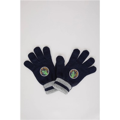 Defacto Erkek Çocuk Triko Eldiven S0406A623WN