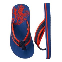 Tiger Flip Flops