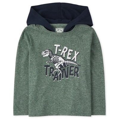 Toddler Boys Graphic Hoodie Top