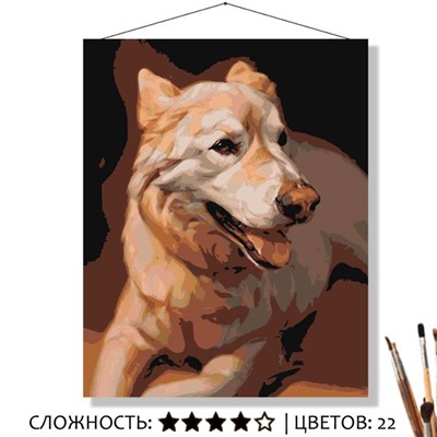 «КУПЕР»