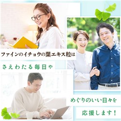 FINE Ginkgo Biloba Extract  Гинкго билоба для работы мозга 400 шт