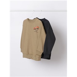 PACK OF 2 ASSORTED SWEATSHIRTS