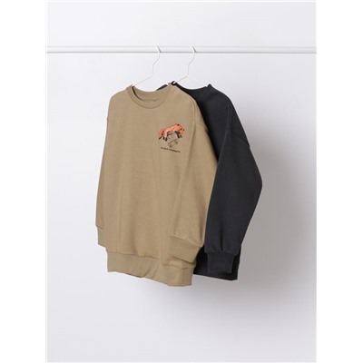 PACK OF 2 ASSORTED SWEATSHIRTS