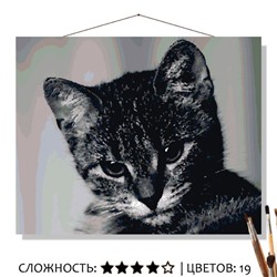 «СУРОВЫЙ КОТЁНОК»