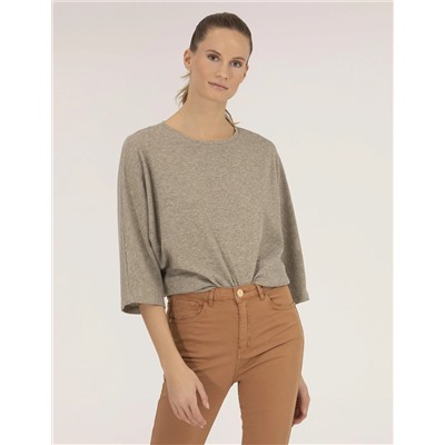 Camel Comfort Fit Tişört