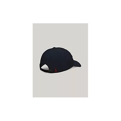 Flag Stripe Logo Baseball Cap