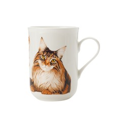 Кружка, 300 мл, фарфор F, белая, Мейн-Кун, Pets, 54381