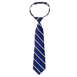 Striped Satin Tie