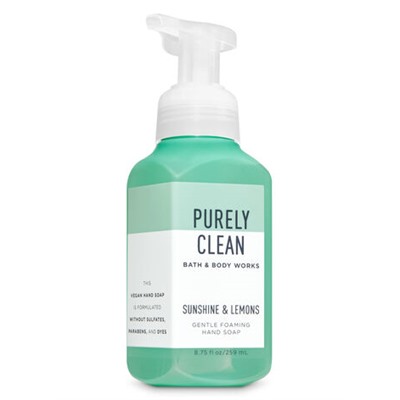 Sunshine & Lemons


Gentle Foaming Hand Soap