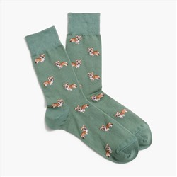 Corgi dog socks