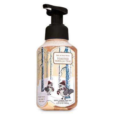 Toasted Vanilla Chai


Gentle Foaming Hand Soap