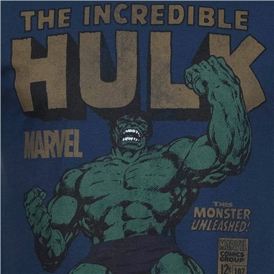 HULK Rage MARVEL Herren T-Shirt FBMTS310NVY