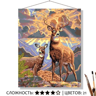 «РАССВЕТ В ГОРАХ»