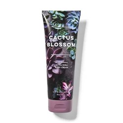 Signature Collection CACTUS BLOSSOM Ultra Shea Body Cream