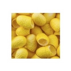 Натуральные золотые шелковые коконы  10 шт. / Yellow silk cocoons 10 pcs