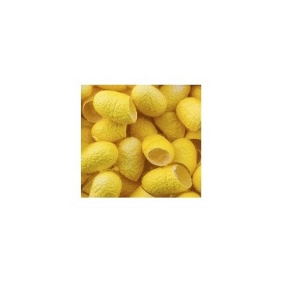 Натуральные золотые шелковые коконы  10 шт. / Yellow silk cocoons 10 pcs