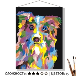 «РАДУЖНЫЙ БОРДЕР-КОЛЛИ»