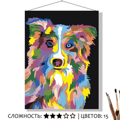 «РАДУЖНЫЙ БОРДЕР-КОЛЛИ»