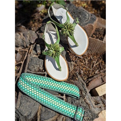 ZAPATOS 2726TG MANZANA+CINTURON BOLSOS (110)-6 (1) АКЦИЯ