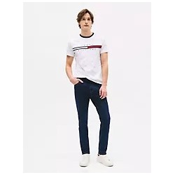Signature Flag Stripe Logo T-Shirt