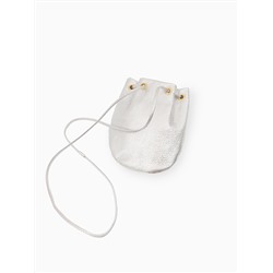fo2027 dollaro argento