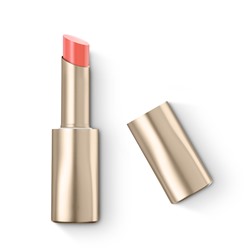 mood boost born to shine lip stylo