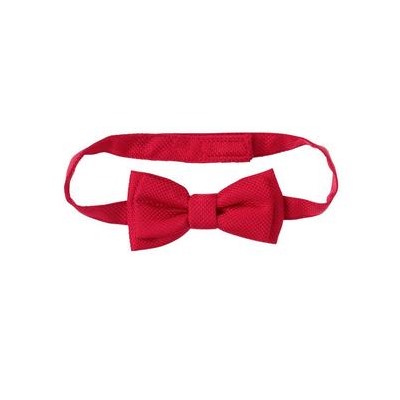 Bow Tie