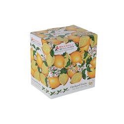 Кружка, 300 мл, фарфор F, белая, Лимон, Orchard Fruits, 53979