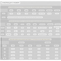 Утеплённые спортивные штаны   AL*O ОРИГИНАЛ!