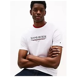 Tommy 1985 Stripe Logo T-Shirt