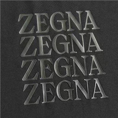 Мужская футболка   ZEGN*A