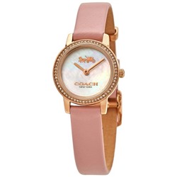 Coach Audrey Quartz Crystal Silver Dial Watch 14503363