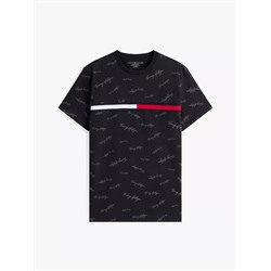 Signature Flag Stripe Logo T-Shirt