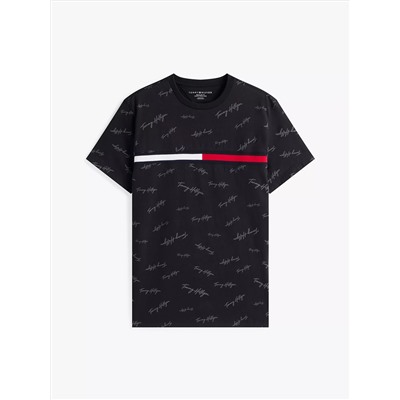 Signature Flag Stripe Logo T-Shirt