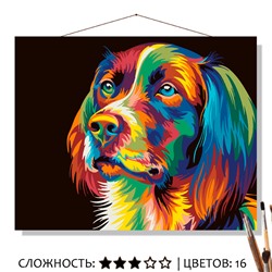 «РАДУЖНАЯ СОБАКА»