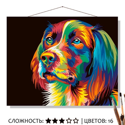 «РАДУЖНАЯ СОБАКА»