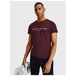 Embroidered Tommy Logo T-Shirt