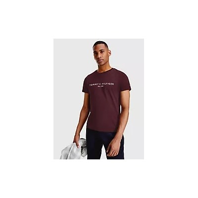 Embroidered Tommy Logo T-Shirt
