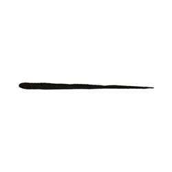 definition eyeliner