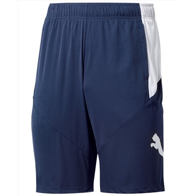 Puma Big & Tall Men's 10" Training Cat Shorts