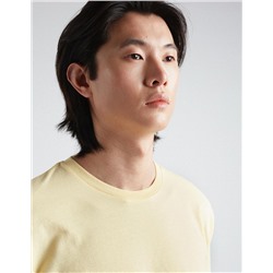 Basic T-shirt, Men, Light Yellow