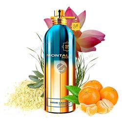 MONTALE AOUD LAGOON edp 20ml