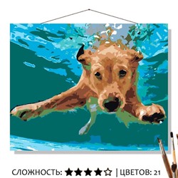 «ПЁС В БАССЕЙНЕ»