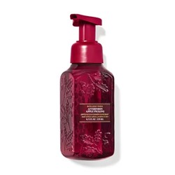 Afternoon Apple Picking Gentle & Clean Foaming Hand Soap