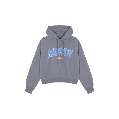Sudadera capucha felpa algodón gris