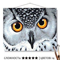 «ВЗГЛЯД СОВЫ»