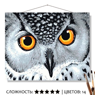 «ВЗГЛЯД СОВЫ»